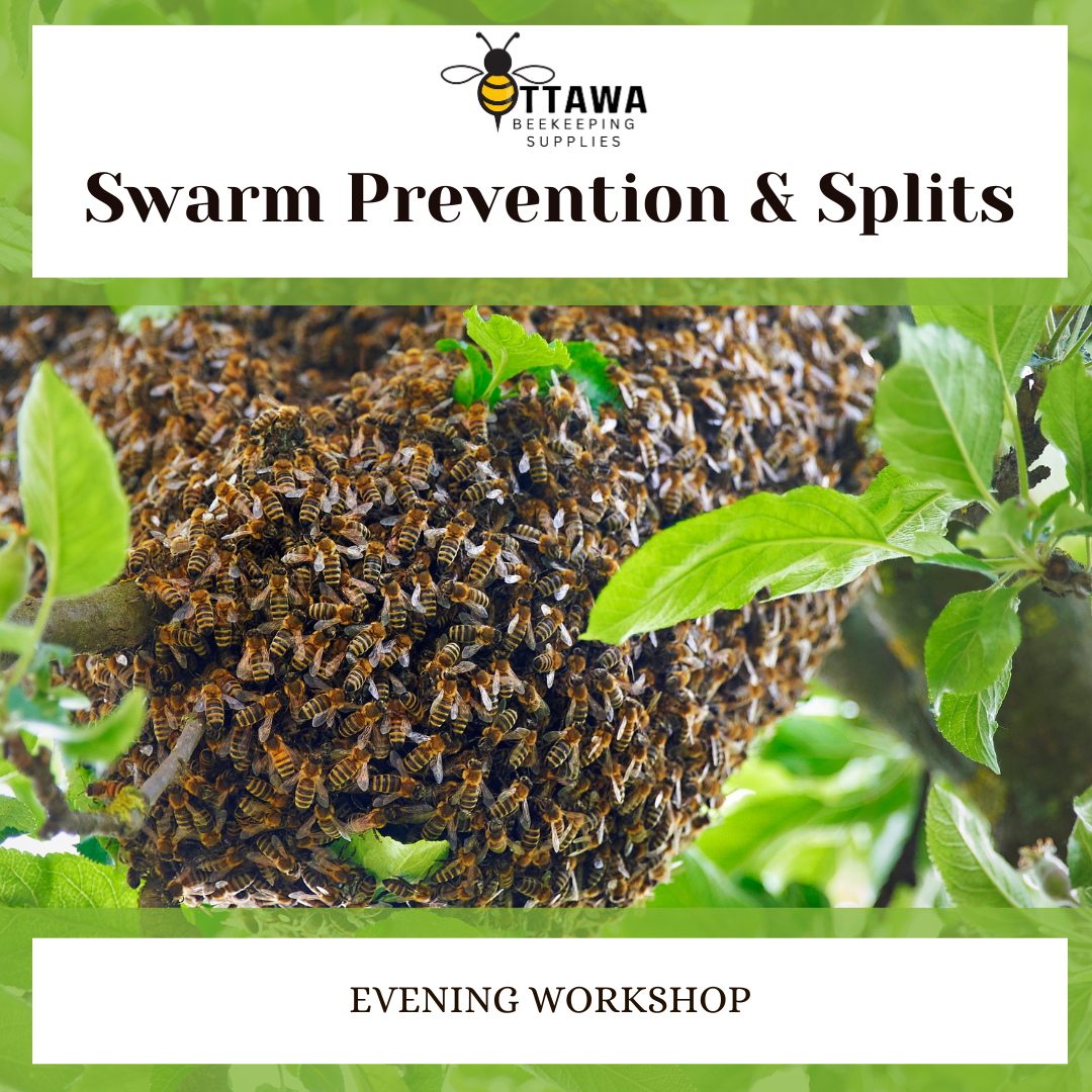 Evening Workshop: Swarm Prevention & Splits - May 29th 6-8:30pm ...
