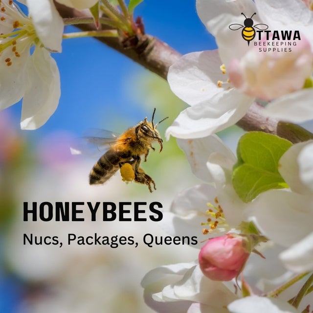 Live Honeybees | Nucs, Packages & Queen Bees | Ottawa Beekeeping ...